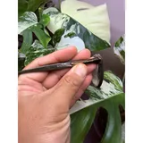 Listing Photo Thumb #6