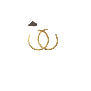 Photo of Gold hoop earrings with rhinestones