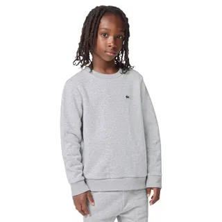 Photo of Lacoste | Grey Crewneck Sweatshirt W/Alligator on Chest | Size 12/Large