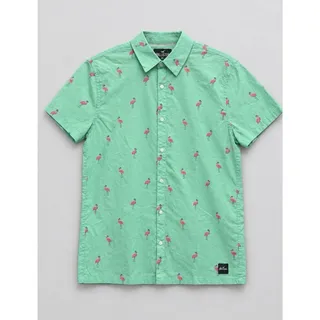 Photo of Vintage Hollister Flamingo Epic Flex Stretch Short Sleeve Shirt Green Men Size S