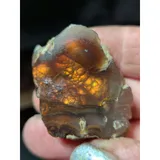 Listing Photo Thumb #7
