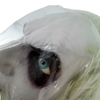 Photo of Trick or Treat Studios Beetlejuice Deluxe Injection Mask Hair Prop TTWB153 NWT