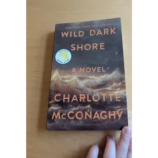 Photo of 🎃Wild Dark Shore by Charlotte McConaghy