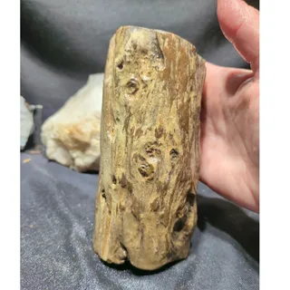 Photo of Petrified Zimbabwe Wood Polished Specimen (2lbs 10oz)