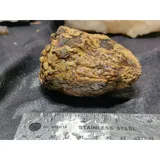 Listing Photo Thumb #3