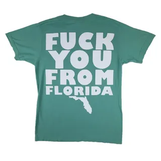 Photo of A Day To Remember F*** You From Florida Dolphin Shirt Tultex M Teal ADTR