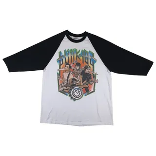 Photo of Y2K Blink-182 Summer 2009 Reunion Tour Raglan Shirt Mens Large 3/4 Sleeve Tee