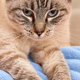 Listing Photo Thumb #2